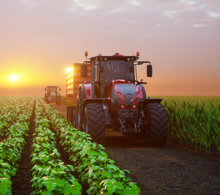 Home Agriculture